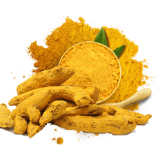 public/product_primary_images/1612203719-haldi-powder-500x500.jpg